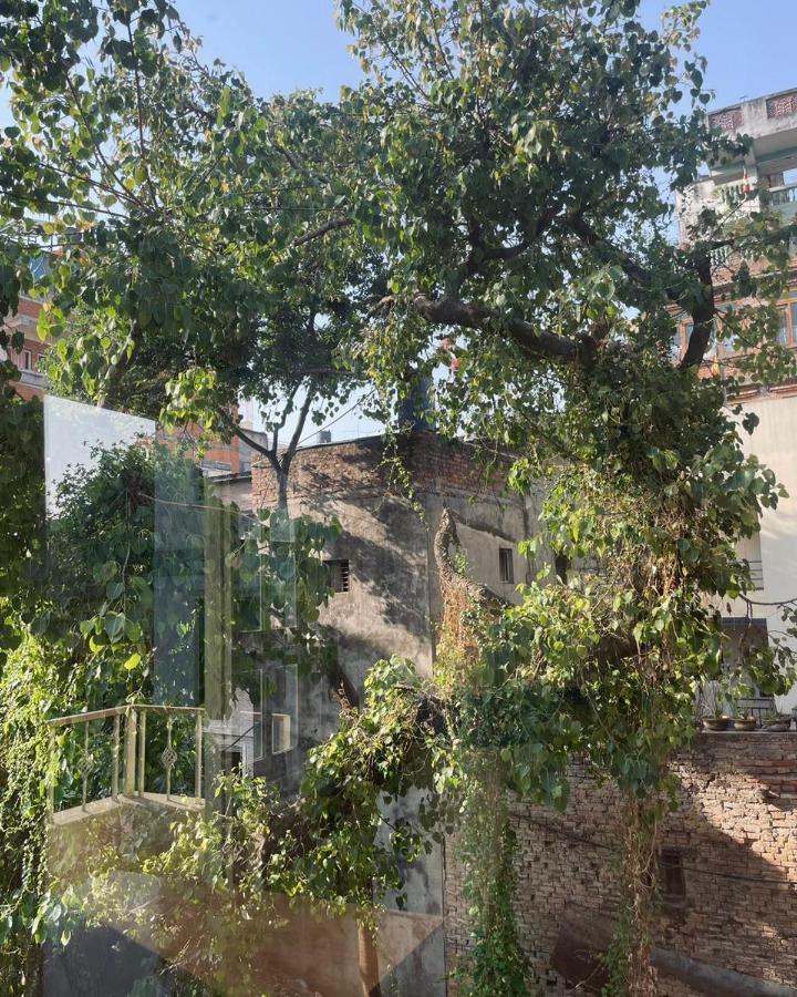 Rooftop Studio And 2Bhk Apartments In Kathmandu'S Most Happening Place מראה חיצוני תמונה